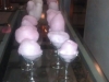 photo-11