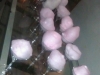 photo-5